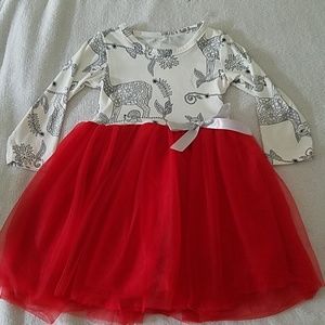 Tutu Dress